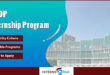 UNDP Internship
